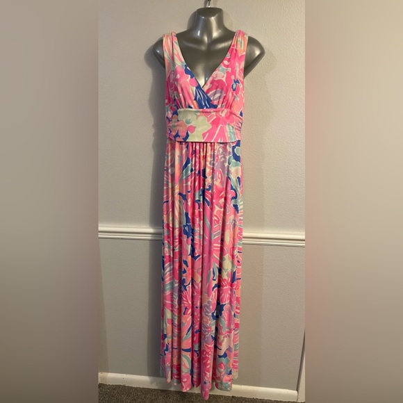 Lilly Pulitzer Dresses & Skirts - EXCELLENT Condition Lily Pulitzer Maxi Dress